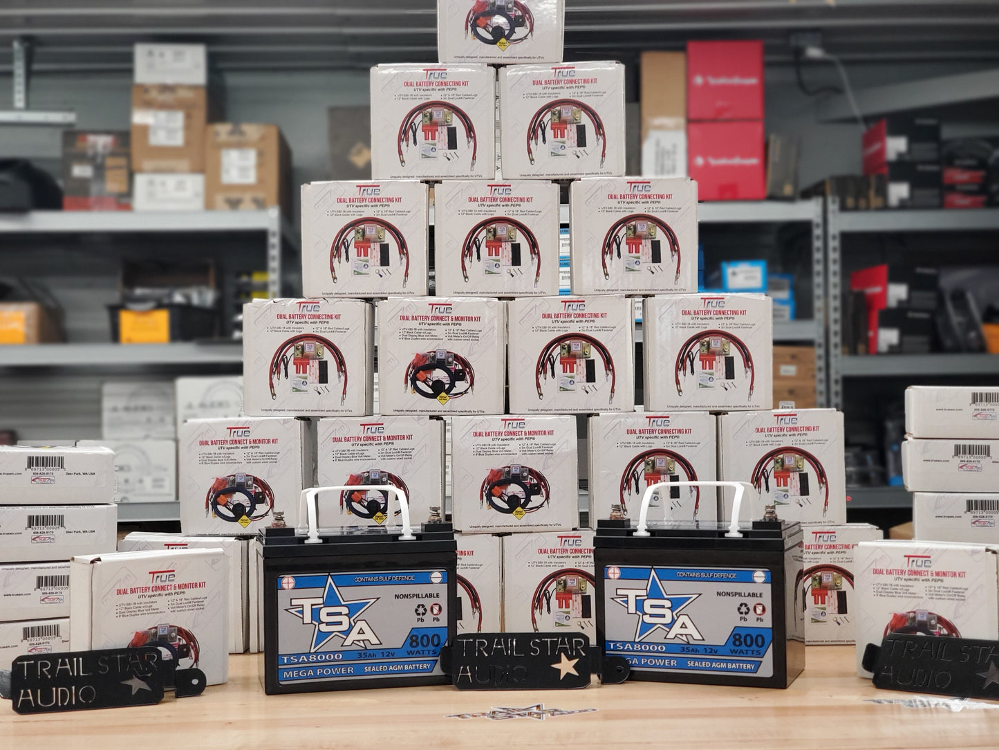 RZR Dual Battery Kit