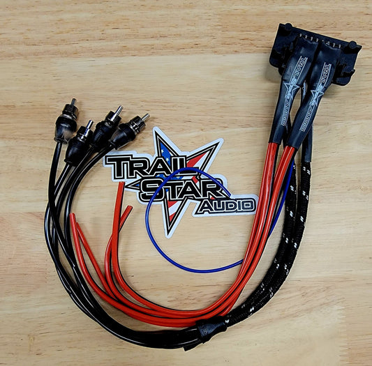 Factory Speaker Wire Pro XP / Pro R Ride command plug