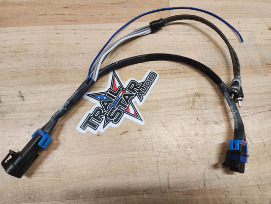 Pro XP / Pro R Ride Command Sub AMP Add on Plug WITH FACTORY SUB