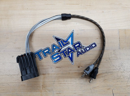 Male  RCA Ride command plug